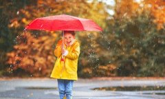 雨伞去污小诀窍你不知道的雨伞保养小技巧