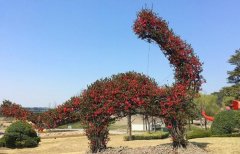 上海植物园开园首日，踏青游客络