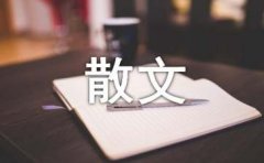 它给我阳光散文