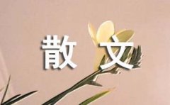 红楼惊梦叹古今散文