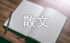 有美一人,清扬婉兮抒情散文