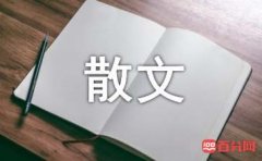 心有沉香何惧浮世抒情散文