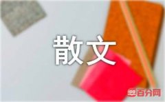 工作感悟散文（精选5篇）