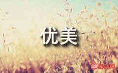 优美经典散文（精选8篇）