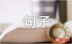 那些说到心坎的文字的句子