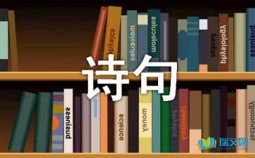 关于海子的经典诗句