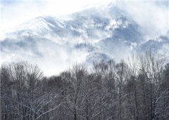 《将统江山》李世马鸣凤小说全文