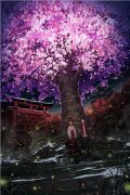 姜淮月容钰曲樱小说<姜淮月容钰
