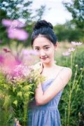 清辞鹿瑶（清辞鹿瑶）小说免费阅