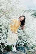 采莲献舞(宝姨娘靖王世子)小说在线
