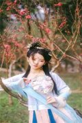 大梁女子（章岚鑫孟良辰）小说全