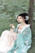 梦海棠（张念菁卫褚）全文免费阅