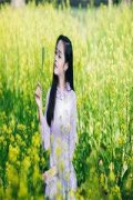 簪花少年郎全文免费阅读_(乔雅南沈
