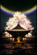 陆流泽荣子姻全文免费阅读无弹窗