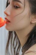  曲青青厉衡(星海的奶茶 )全文免费