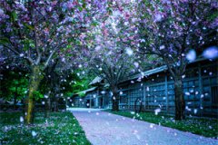 乔若星顾景琰(顾景琰主角小说)全文