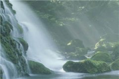 转学生财阀来到最新章节列表（转