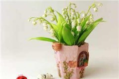 荣子姻陆流泽免费小说_荣子姻陆流