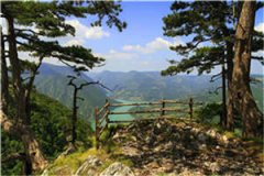 最佳影帝小说（温溪顾亦槐）全文
