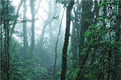 舒安月路景澄（舒安月路景澄）全
