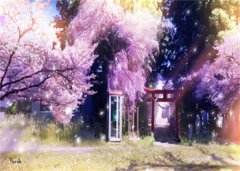芳心不许宋晚（宋晚陆晟）全文免