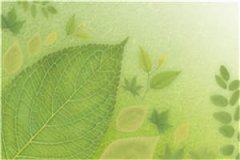傲世狼王（林天玄尹新月）小说全