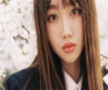 论情和匪(宋离沈聿行)全文阅读-论