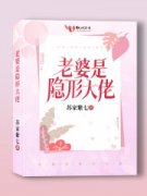 《老婆是隐形大佬》小说免费试读