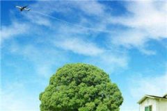 唯你闪耀小说全文免费阅读大结局