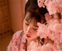 火上定情(宋哲陈安安)小说-火上定