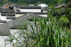 情缘告白小说（裴栩）全文阅读-情