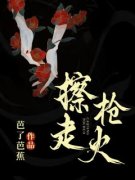 擦枪走火小说(完本)-麦冬江璐无错