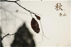 恋恋竟行（陈竟行江袅）全文免费