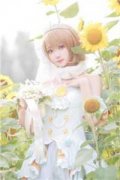 盛晚棠陆霁渊《盛晚棠陆霁渊》全