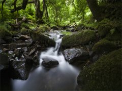 绪如微聂寒山浮萍情动刚刚更新_绪如微聂寒山浮萍情动大结局免费阅读