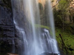 高甜免费小说凌楚思季霄白最新章节_凌楚思季霄白全文无弹窗免费阅读