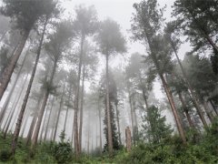 暗黑前行《陈燃短篇小说》在线阅读_陈燃暗黑前行免费阅读