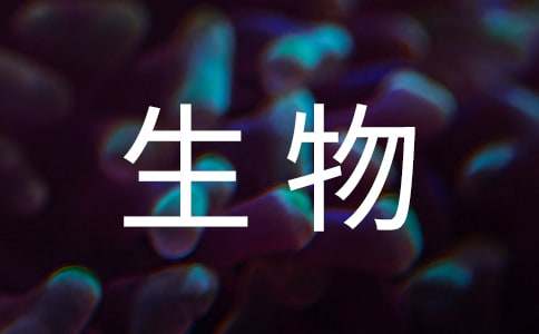 写给外星生物的一封信