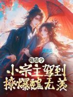 《花七七魏无羡》免费阅读_陈情令：小宗主驾到，撩爆魏无羡在线阅读