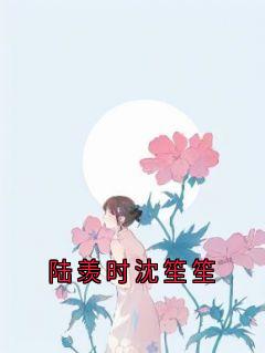 《陆羡时沈笙笙》陆羡时沈笙笙全文阅读