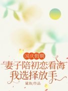 《孟轩乔妍》小说完结版在线试读_国庆假期，妻子陪初恋看海，我选择放手小