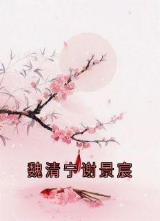 《魏清宁谢景宸》完结版在线阅读_《魏清宁谢景宸》最新章节目录