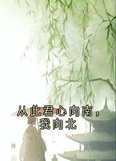 最新《沈婈婈秦衡》从此君心向南，我向北小说免费试读全文章节