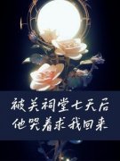 《顾泽沈媛沈悠》小说大结局在线试读_被关祠堂七天后他哭着求我回来小说阅