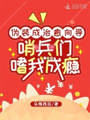 《宁莜维尔顿》小说章节列表精彩试读_伪装成治愈向导，哨兵们嗜我成瘾小说阅读