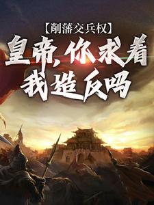 《削藩交兵权，皇帝，你求着我***吗》沈河柳妙妙全文阅读