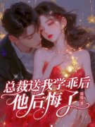 精品小说《沈薇傅声》未婚夫送我学乖后，他后悔了已完结版全文章节阅读