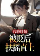 《官路绯情：被贬后扶摇直上》小说免费阅读_第9章_故意刁难