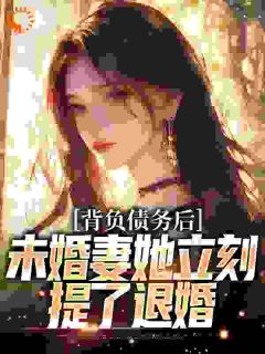 完整版《苏航徐菲》背负债务后，未婚妻她立刻提了退婚全文免费阅读